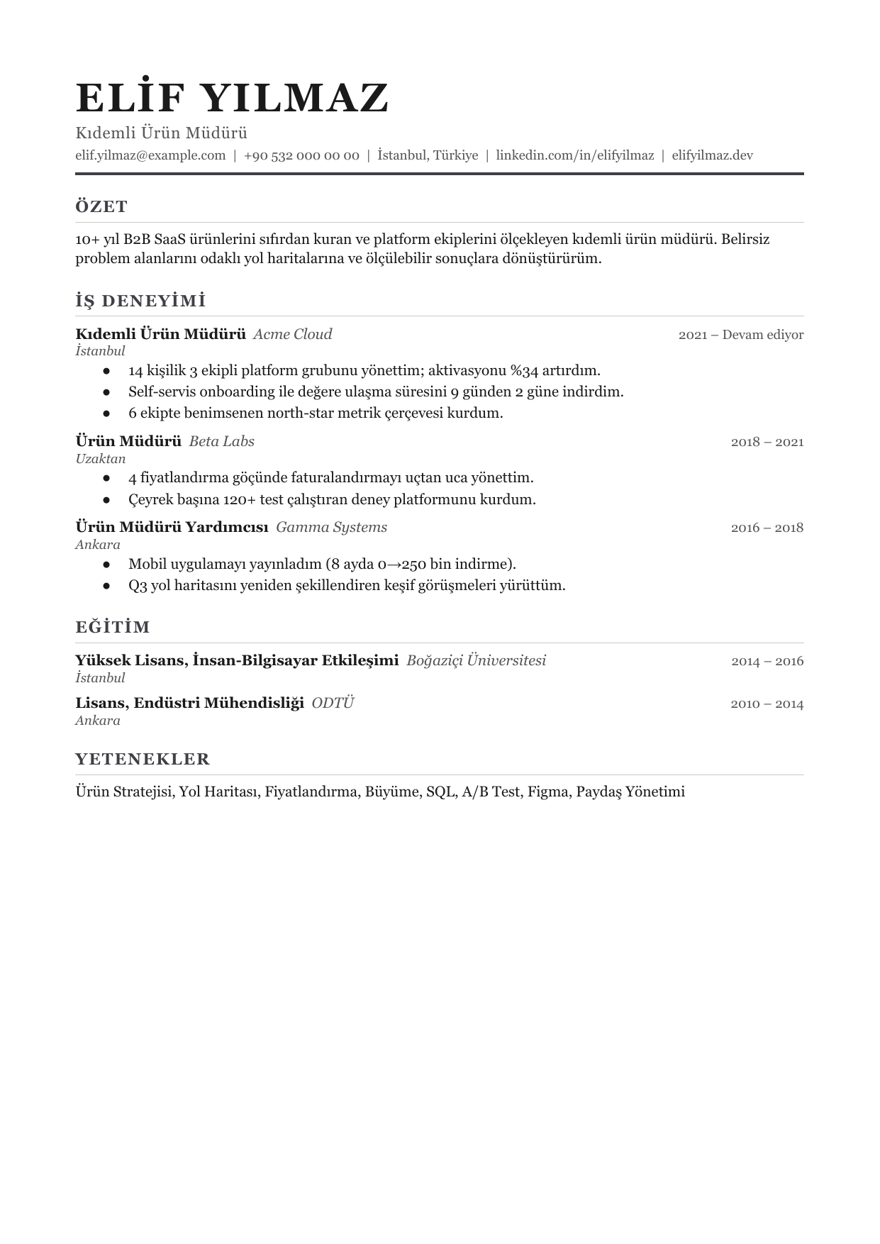 CleanCV Editorial özgeçmiş şablonu