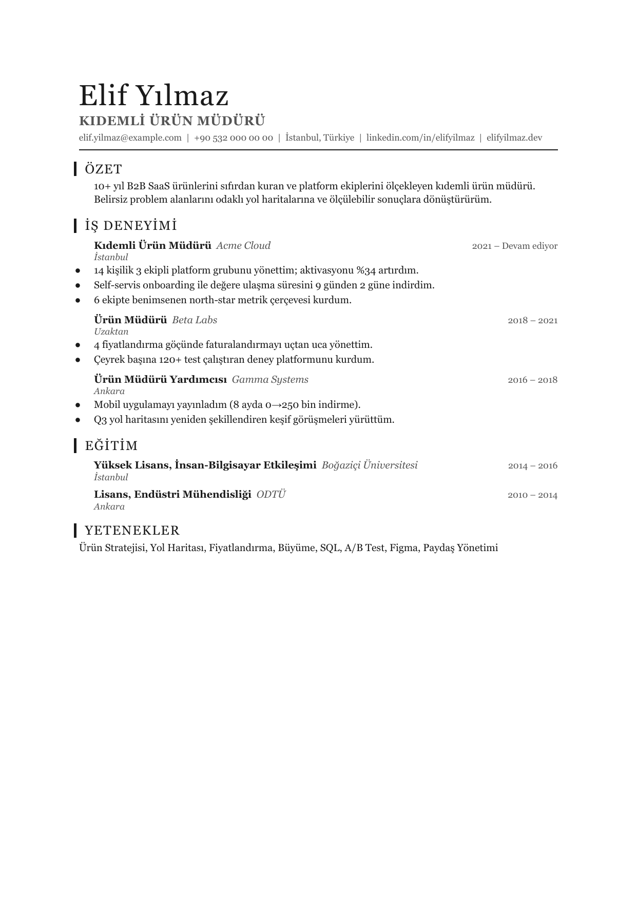 CleanCV Narrow Ledger Mark özgeçmiş şablonu