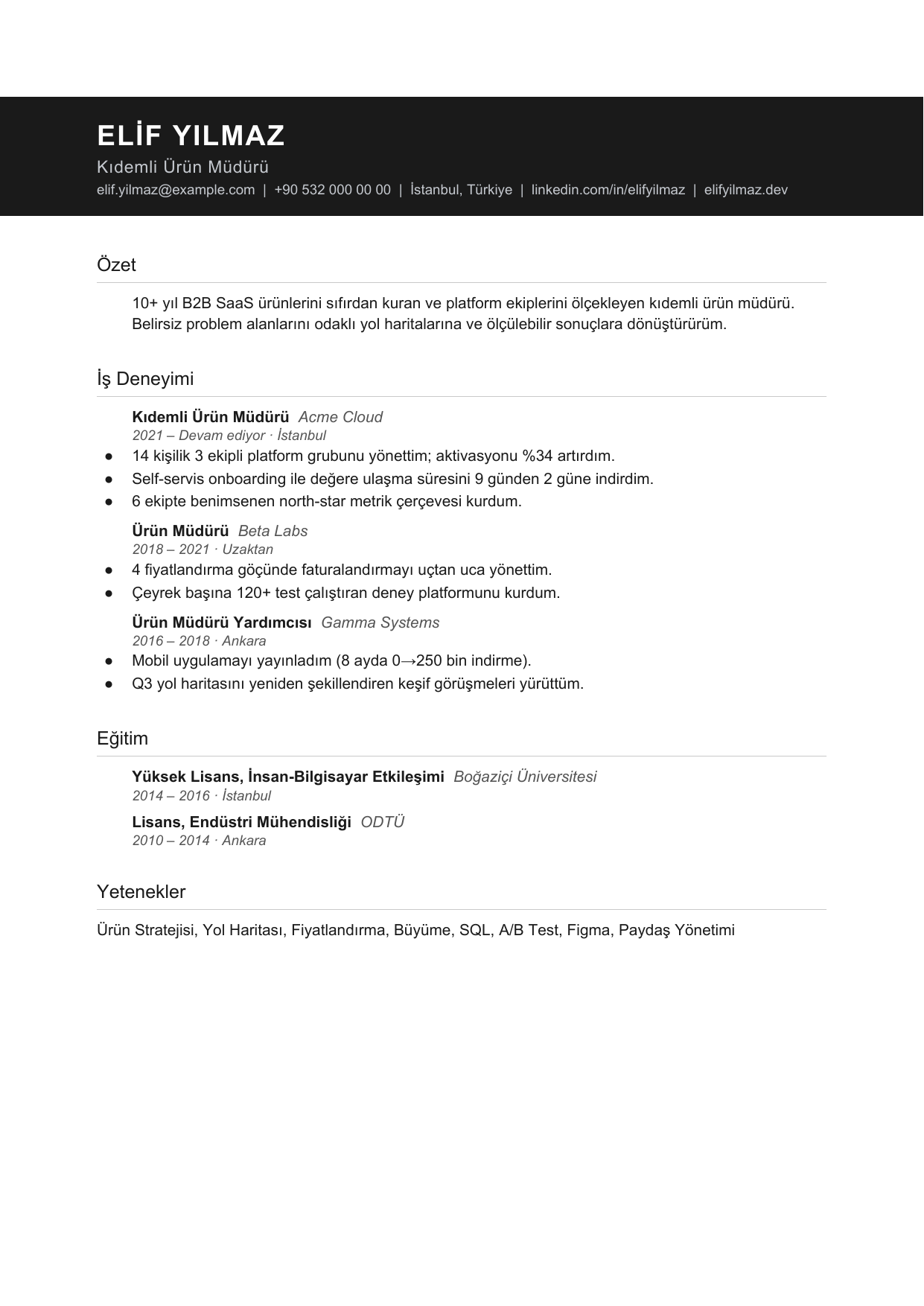 CleanCV Slate Line özgeçmiş şablonu