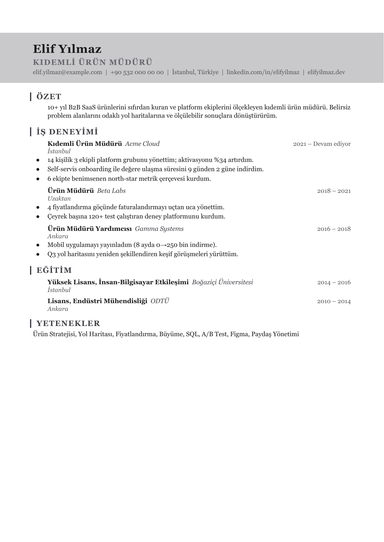 CleanCV Slate Mark 3 özgeçmiş şablonu