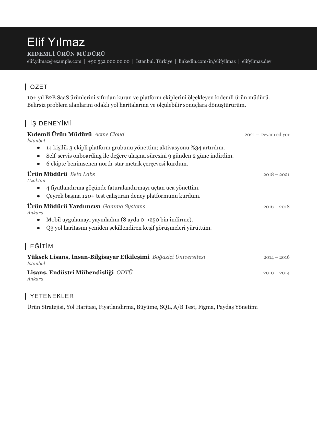 CleanCV Slate Mark özgeçmiş şablonu
