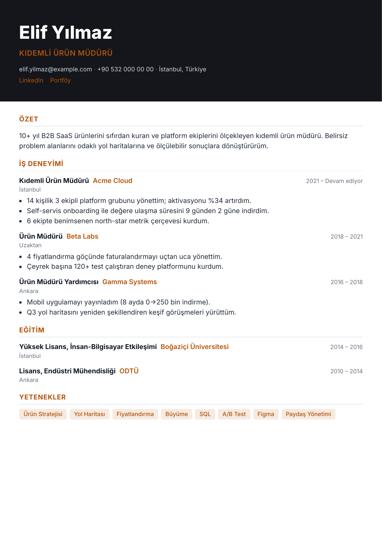 CleanCV Banded özgeçmiş şablonu